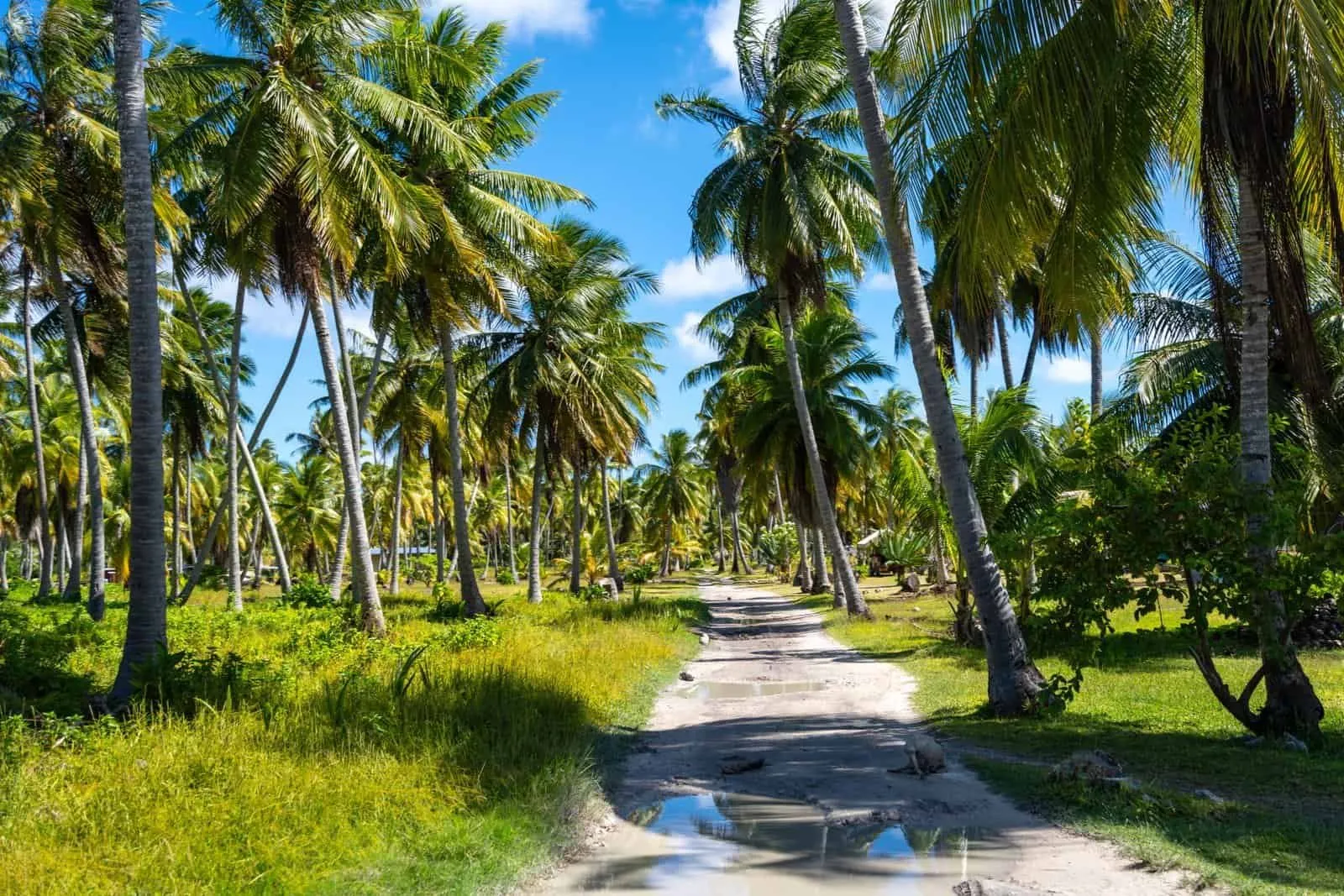 Exploring the atoll by bike or outrigger canoe