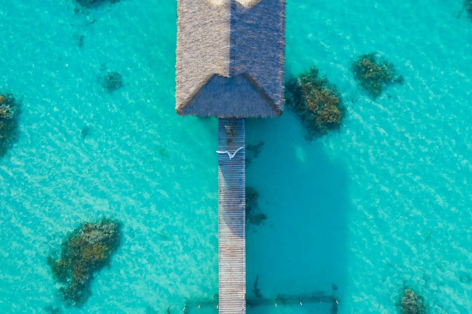 ©Jim Winter / ©Tahiti Tourisme