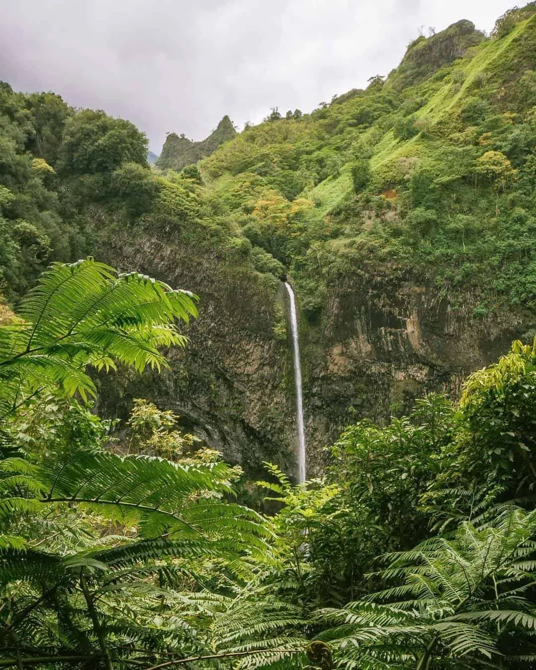 Tahiti tourism waterfall