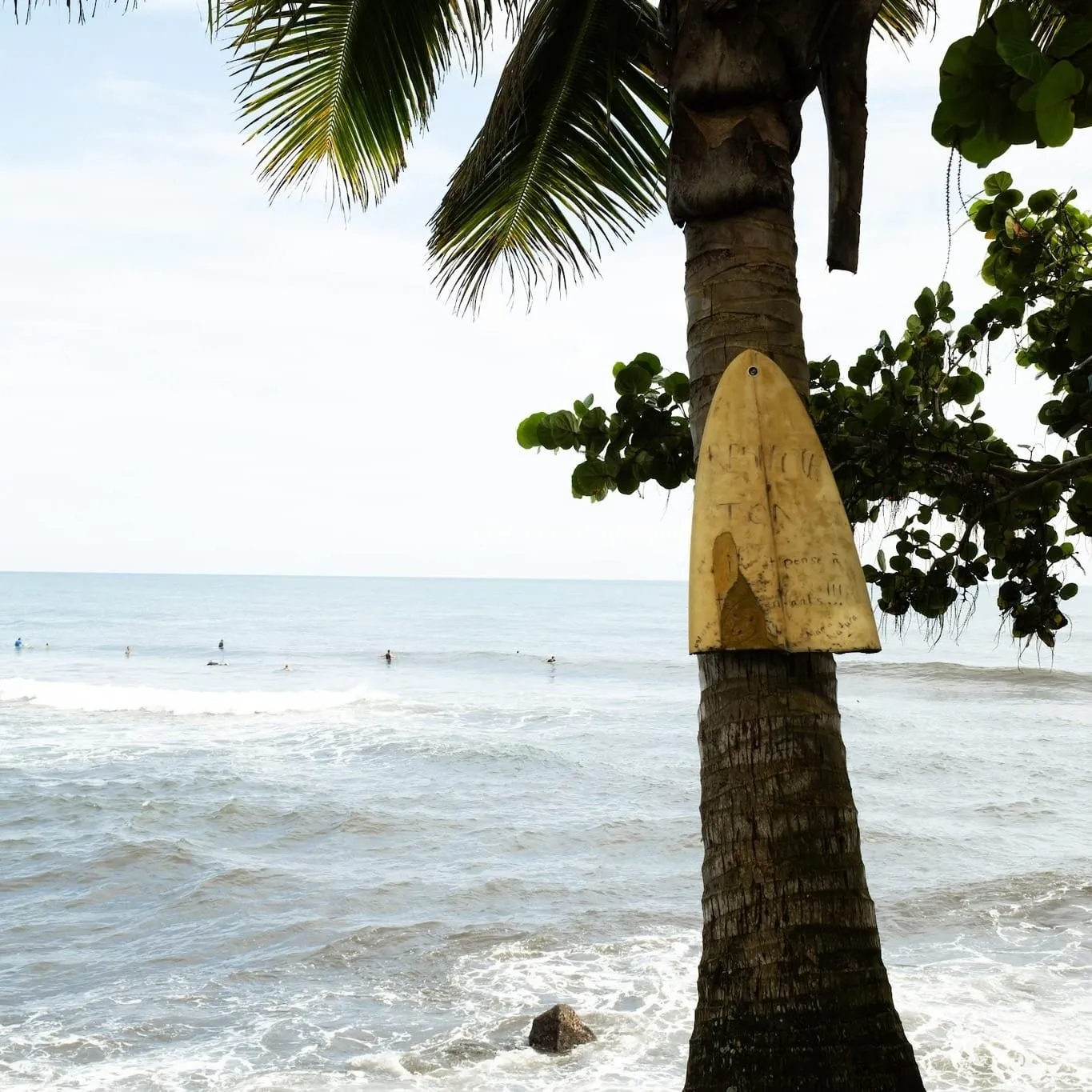 Surfing in Tahiti: From Beginner to Pro, Find Your Favorite Spot on the Island