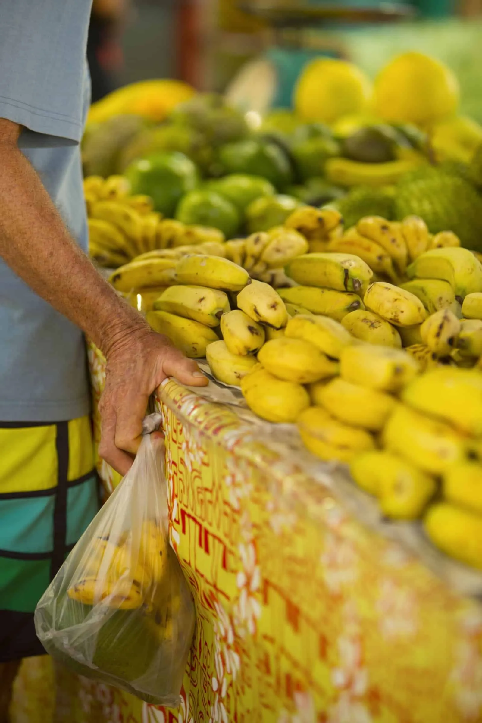 P2_10_TAHITI_00195-3840x5760
