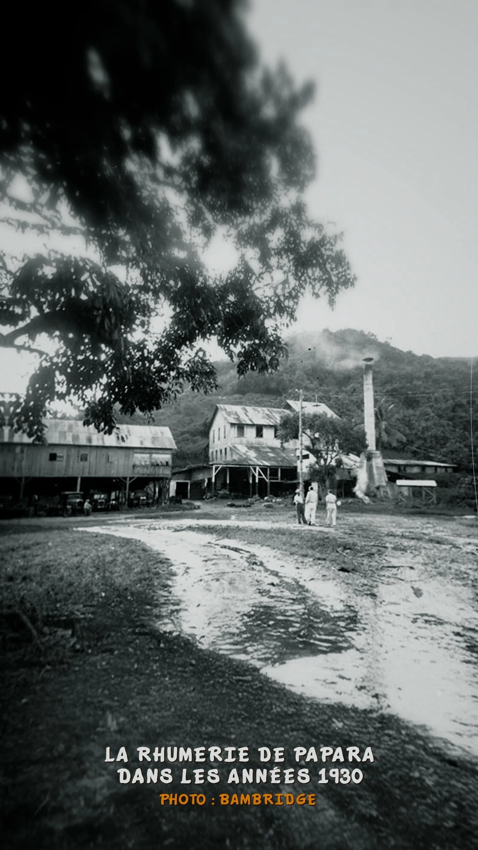 Photo : Bambridge