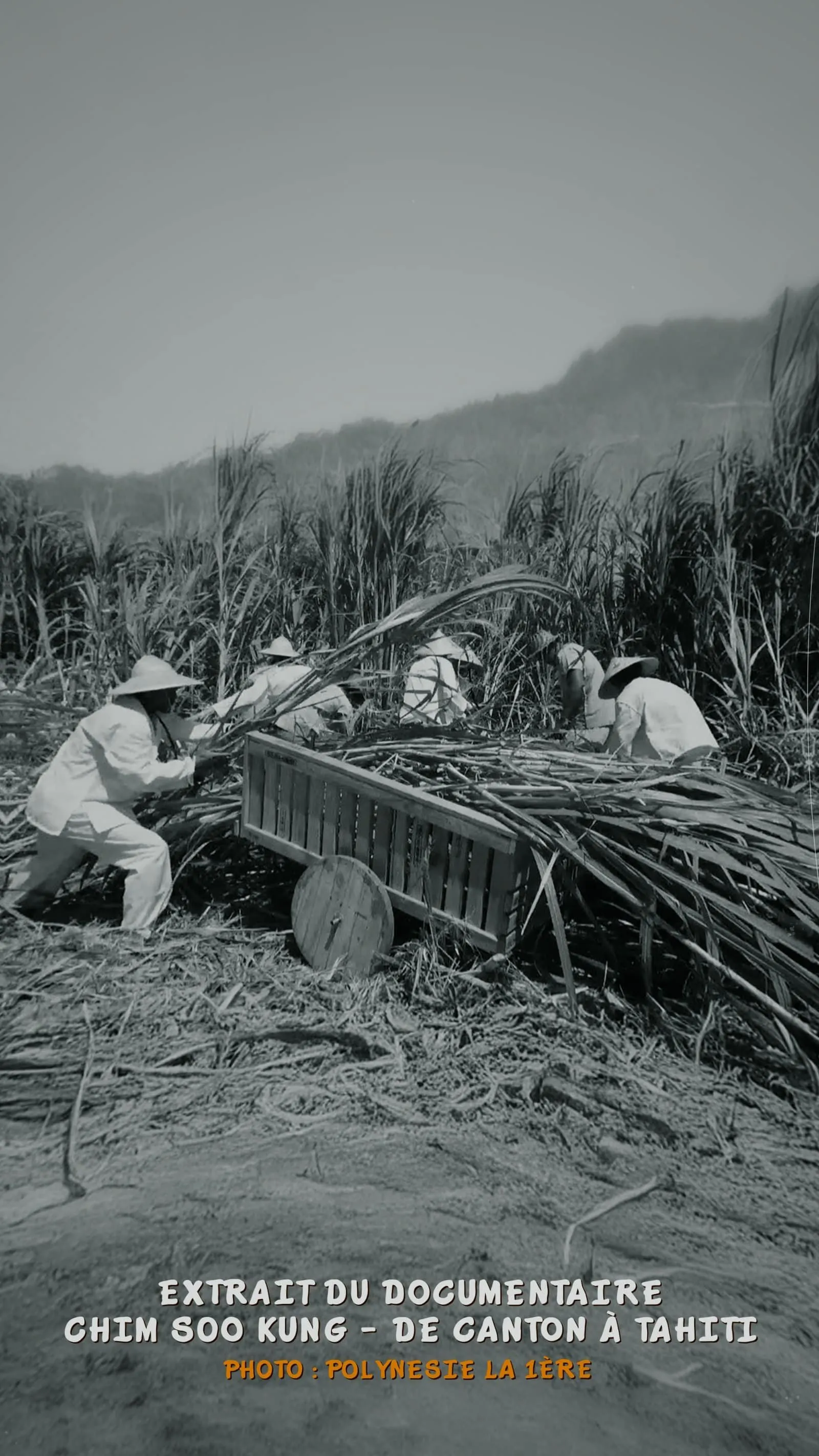 Extrait du documentaire Chim son Kung - De canton à Tahiti