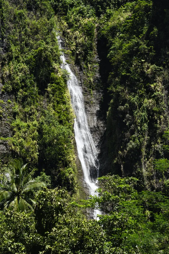 Tahiti Tourisme © Kristiyan Markov