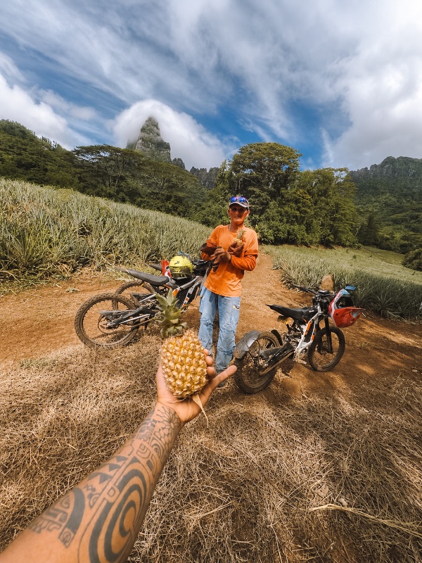 Tour guidé en Moto électrique ⚡️🌿 (e-bike)  4