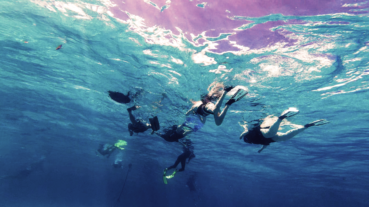 AVENTURE SNORKELING + FRUITS 4H 2
