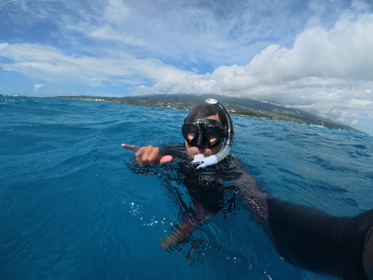 AVENTURE SNORKELING + FRUITS 4H 3