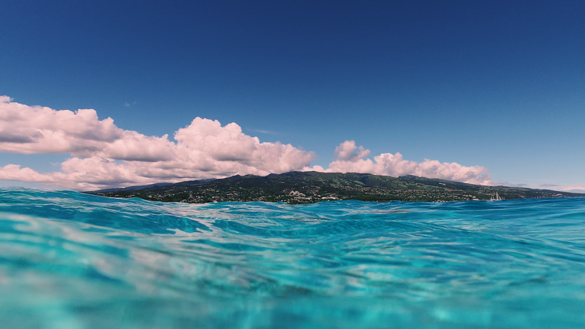AVENTURE SNORKELING + FRUITS 4H 6