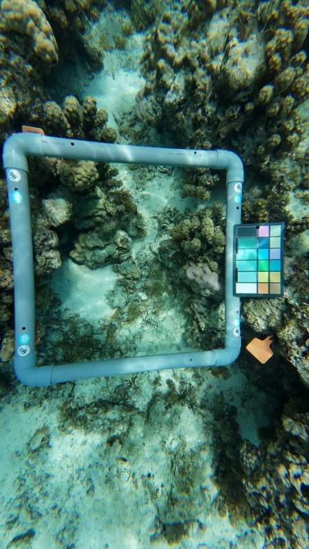 🔬 Reef exploration  2