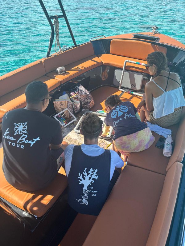 🔬 Reef exploration  3