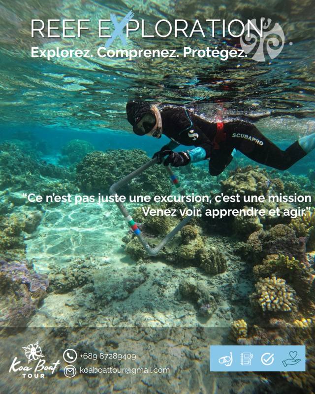 🔬 Reef exploration  5