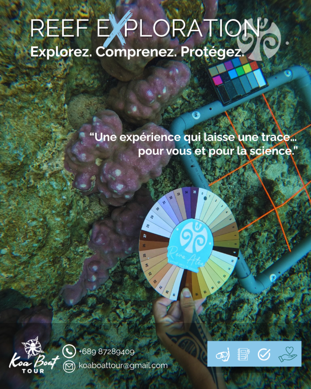 🔬 Reef exploration  6