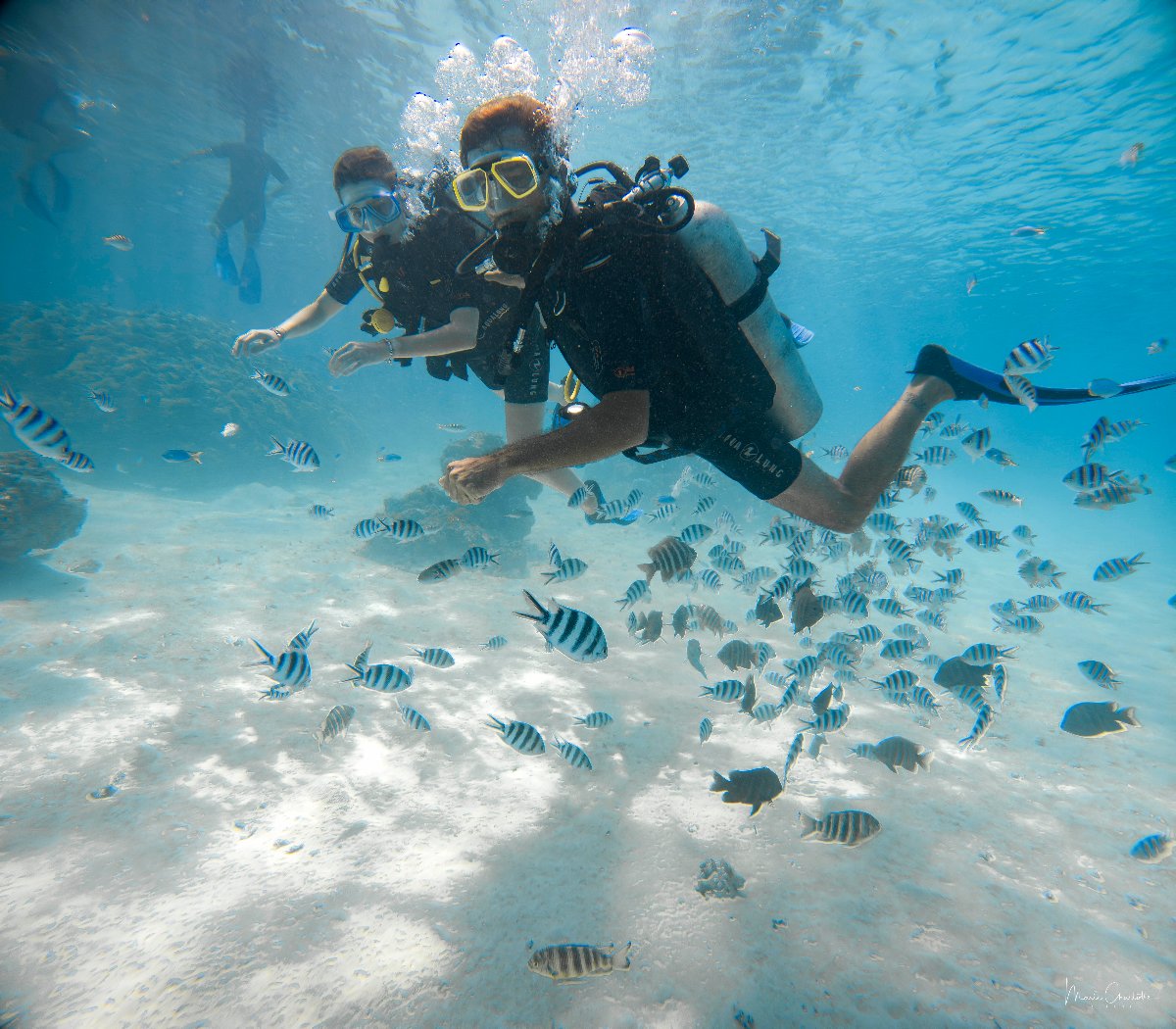 Baptême de plongée sous-marine sur la Perle du Pacifique 3
