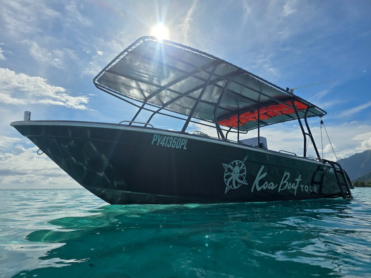 Lagoon Discovery  5