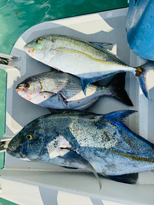 AVENTURE PRIVEE MIX SNORKELING + FISHING + BBQ 6H     3