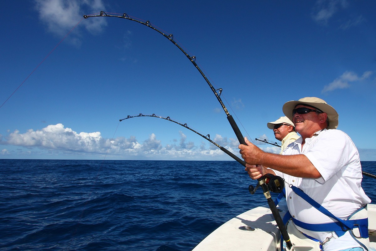 ADVENTURE FISHING + FRUITS 4H