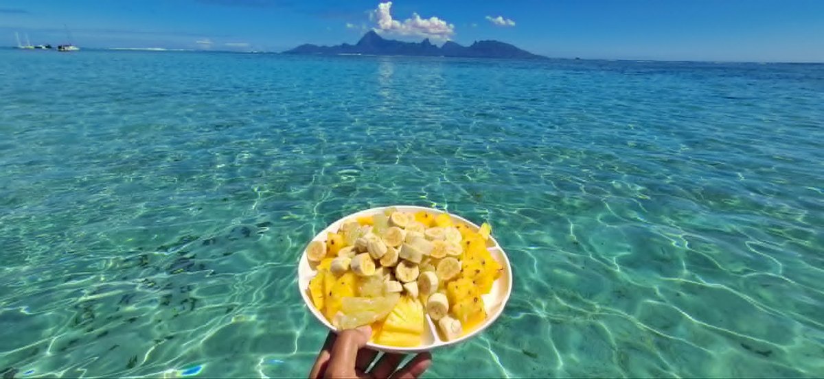 AVENTURE FISHING + FRUITS 4H  2