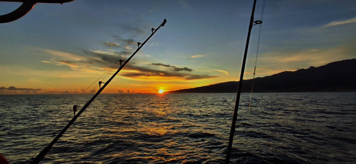 AVENTURE FISHING + FRUITS 4H  5