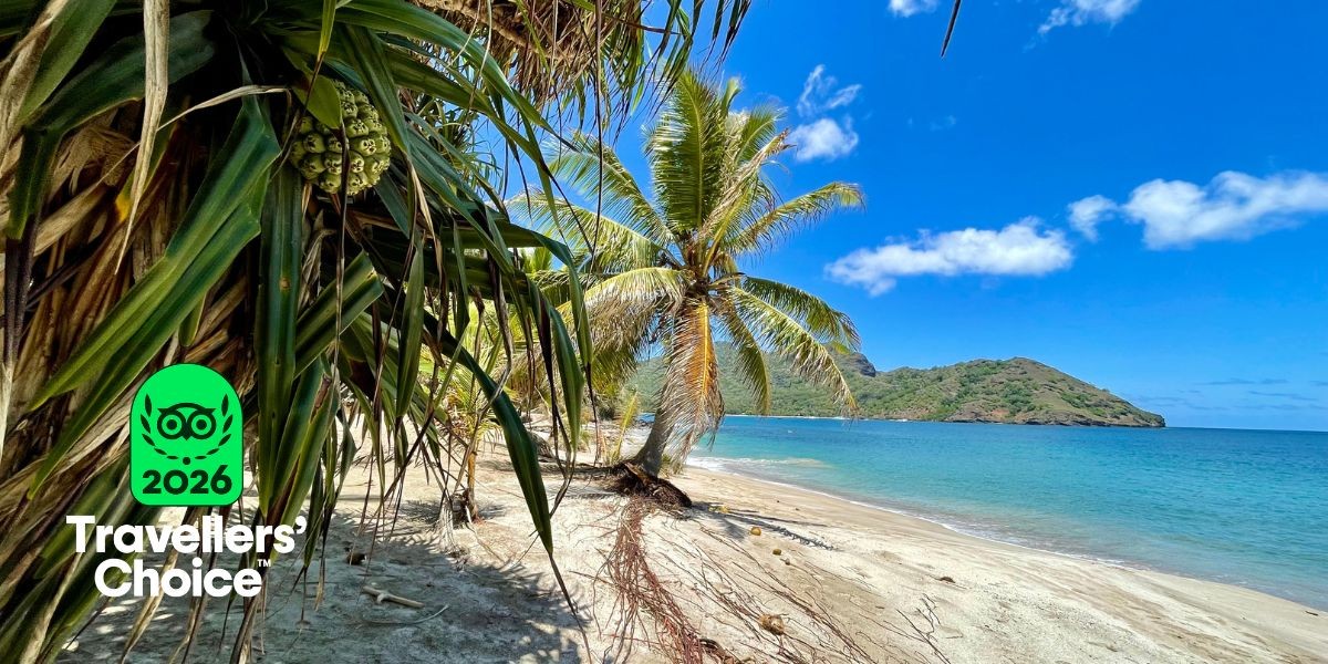 Immersion excursion to the wonderful beaches of ANAHO