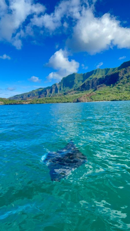 Excursion immersion vers les merveilleuses plages de ANAHO 6