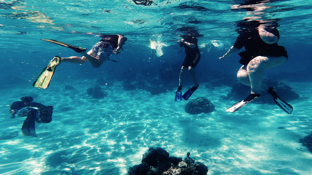 AVENTURE SNORKELING + BBQ 5H 2