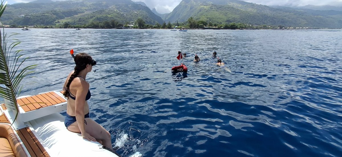 AVENTURE SNORKELING + BBQ 5H 4