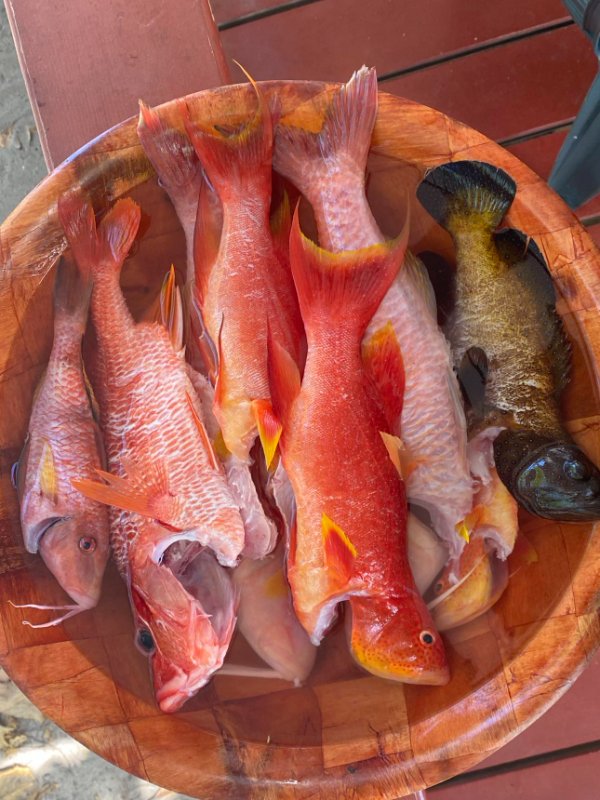 AVENTURE FISHING + BBQ 5H 2
