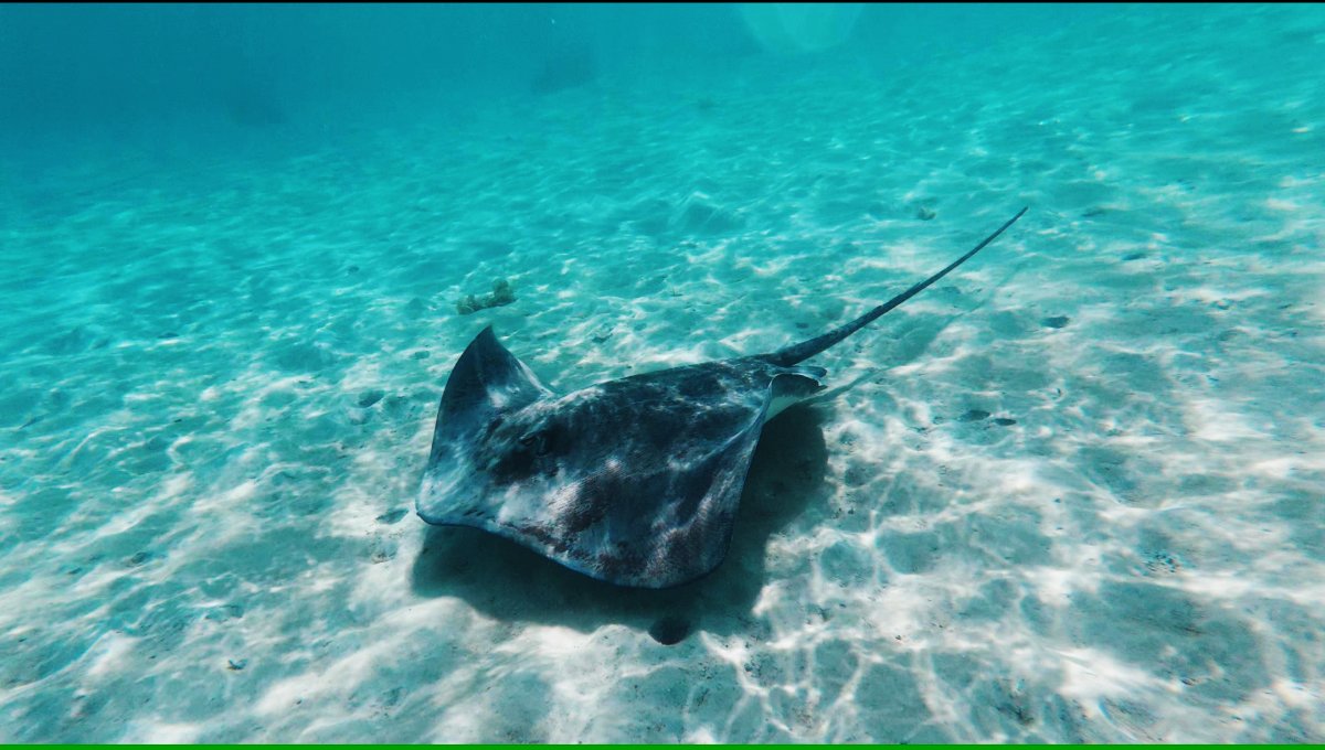 AVENTURE FISHING + BBQ 5H 5