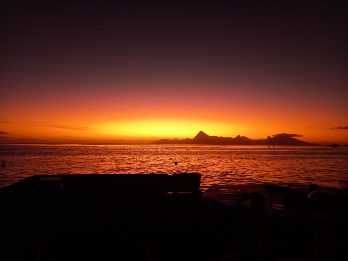 AVENTURE SWEET SUNSET 2H 2