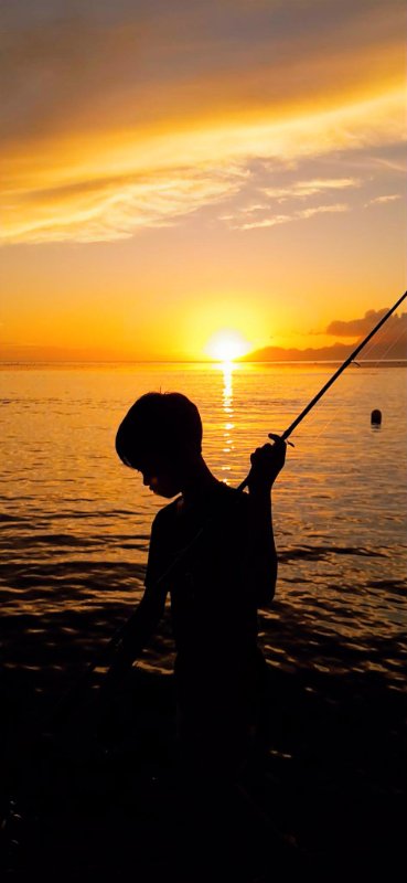 AVENTURE SWEET SUNSET 2H 3