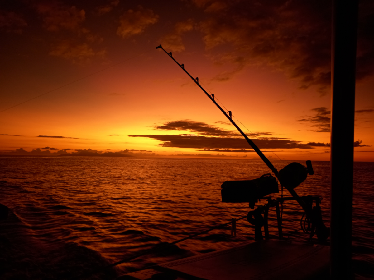 AVENTURE SWEET SUNSET 2H 4