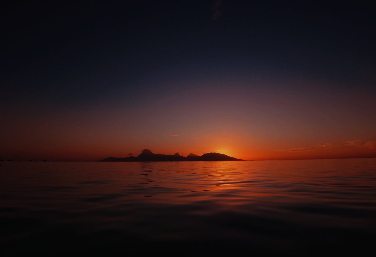 AVENTURE SWEET SUNSET 2H 5