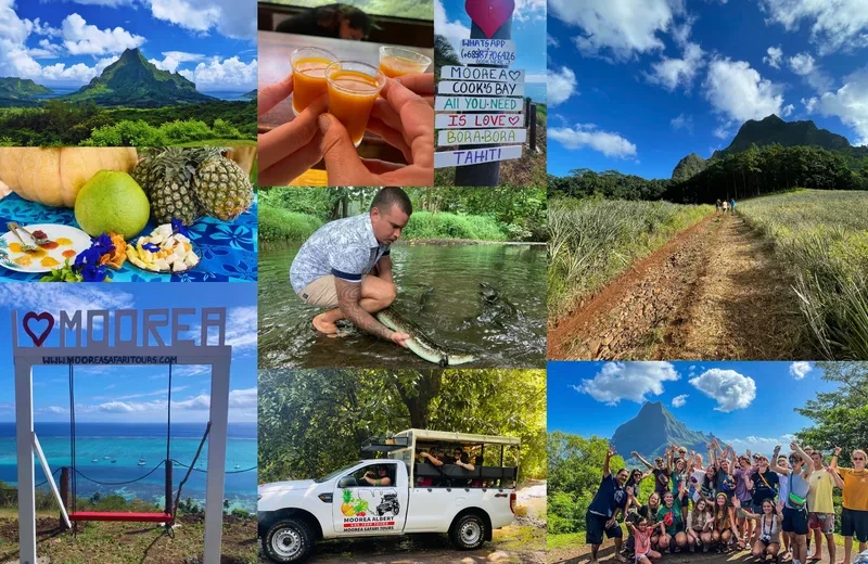 Moorea safari tours - Albert tours : Excursion safari