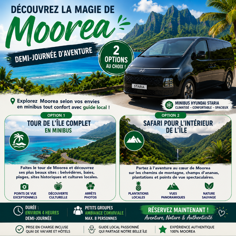 ALBERT TOURS : Excursion 4x4 Safari avec point de vue privé et balançoire 2