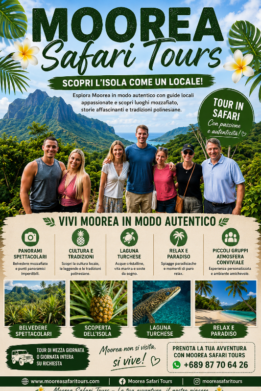 ALBERT TOURS : Excursion 4x4 Safari avec point de vue privé et balançoire 4