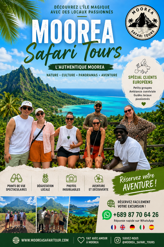 ALBERT TOURS : Excursion 4x4 Safari avec point de vue privé et balançoire 5